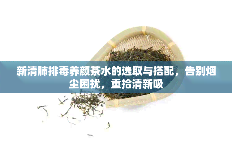 新清肺排养颜茶水的选取与搭配，告别尘困扰，重拾清新吸