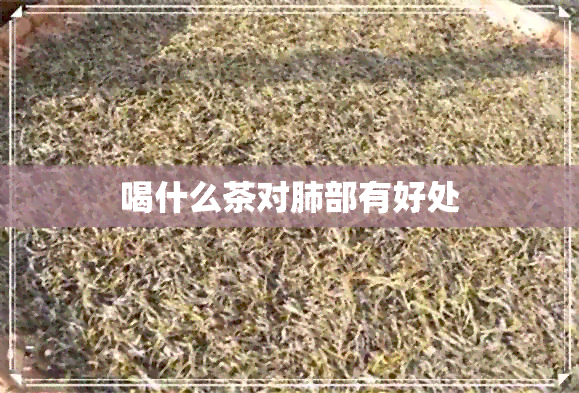 喝什么茶对肺部有好处