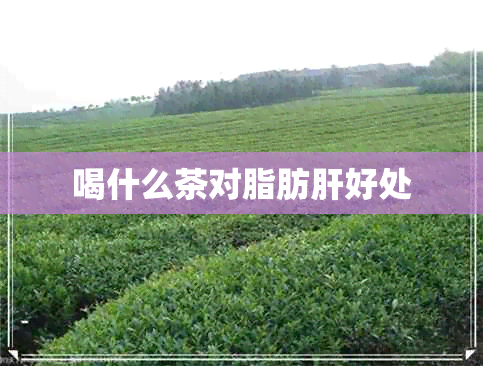 喝什么茶对脂肪肝好处