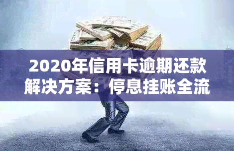 2020年信用卡逾期还款解决方案：停息挂账全流程详解，助您轻松摆脱债务困境