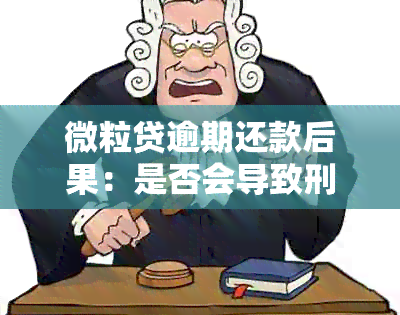 微粒贷逾期还款后果：是否会导致刑事责任？如何解决逾期问题？