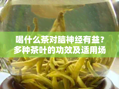 喝什么茶对脑神经有益？多种茶叶的功效及适用场景解析