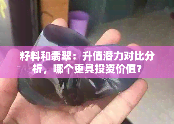 籽料和翡翠：升值潜力对比分析，哪个更具投资价值？