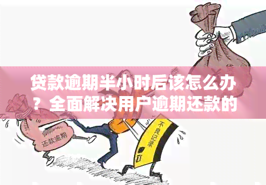 贷款逾期半小时后该怎么办？全面解决用户逾期还款的应对策略与注意事项