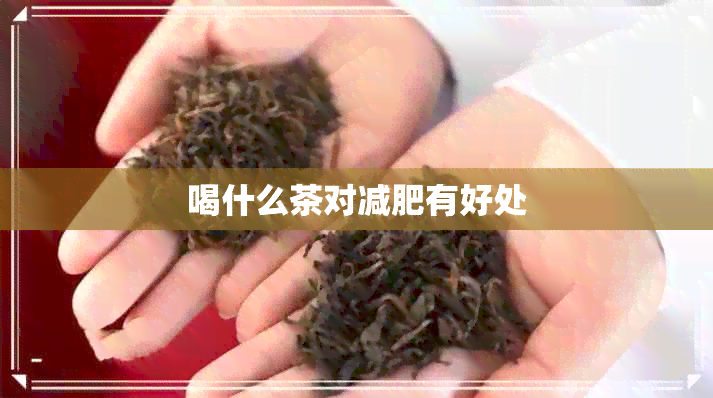 喝什么茶对减肥有好处