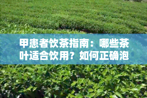 甲患者饮茶指南：哪些茶叶适合饮用？如何正确泡茶？