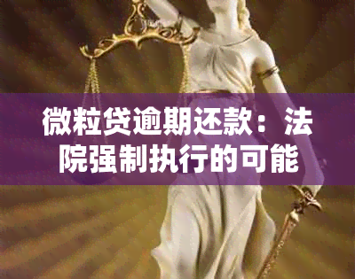 微粒贷逾期还款：法院强制执行的可能性及相关应对策略