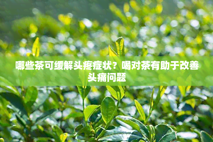 哪些茶可缓解头疼症状？喝对茶有助于改善头痛问题