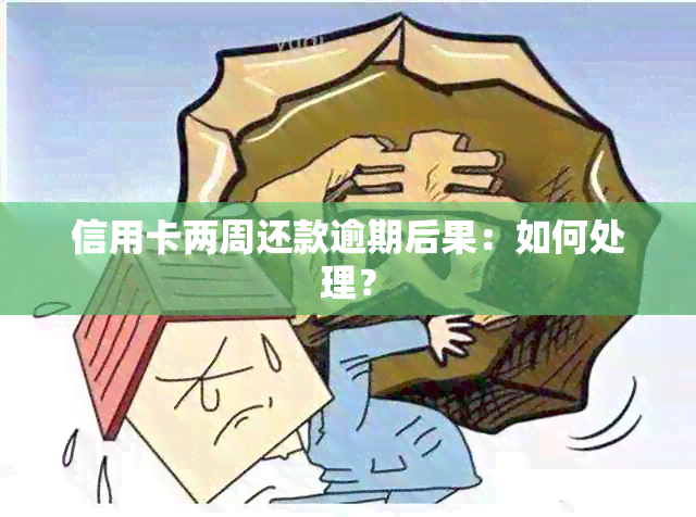 信用卡两周还款逾期后果：如何处理？