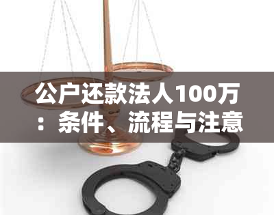 公户还款法人100万：条件、流程与注意事项一览