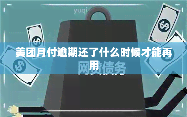 美团月付逾期还了什么时候才能再用