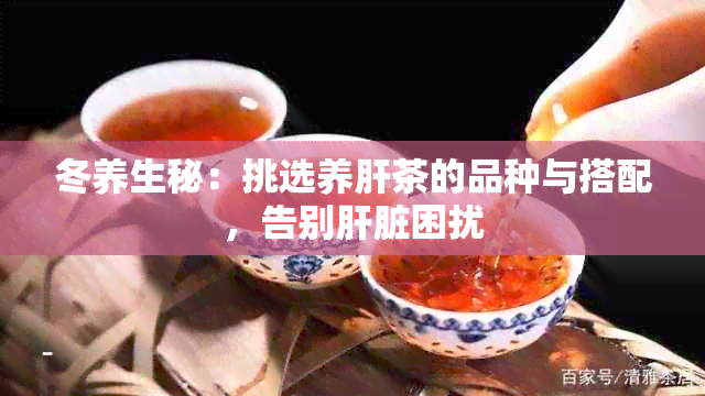 冬养生秘：挑选养肝茶的品种与搭配，告别肝脏困扰