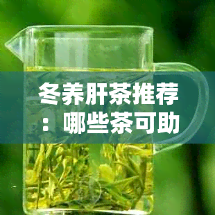 冬养肝茶推荐：哪些茶可助于肝脏健？