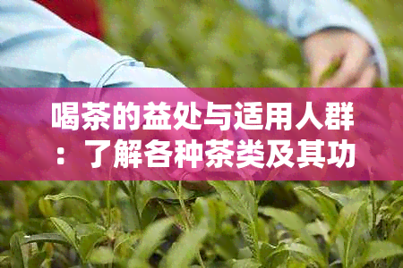 喝茶的益处与适用人群：了解各种茶类及其功效，为您推荐最适合您的茶