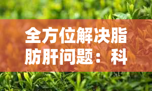 全方位解决脂肪肝问题：科学减肥茶及其有效成分解析与使用方法