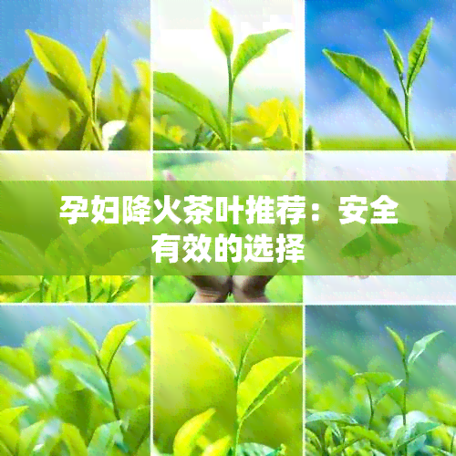 孕妇降火茶叶推荐：安全有效的选择