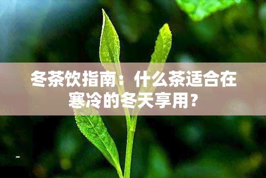 冬茶饮指南：什么茶适合在寒冷的冬天享用？