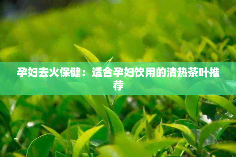 孕妇去火保健：适合孕妇饮用的清热茶叶推荐