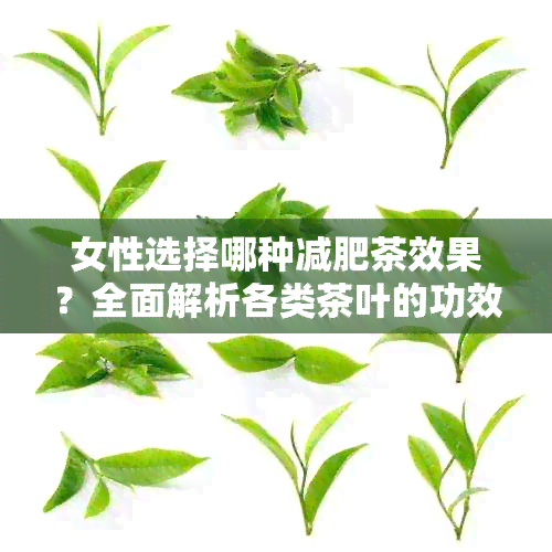 女性选择哪种减肥茶效果？全面解析各类茶叶的功效与适用人群