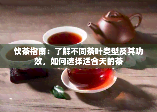 饮茶指南：了解不同茶叶类型及其功效，如何选择适合天的茶