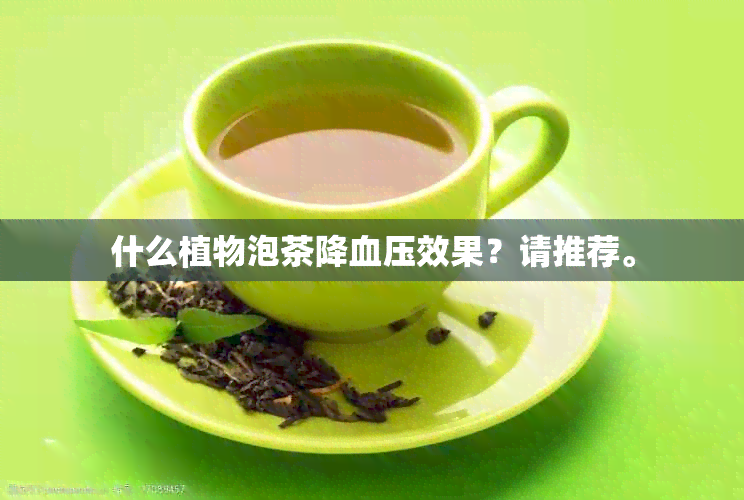 什么植物泡茶降血压效果？请推荐。