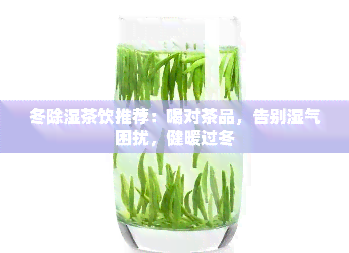 冬除湿茶饮推荐：喝对茶品，告别湿气困扰，健暖过冬