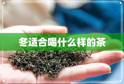 冬适合喝什么样的茶