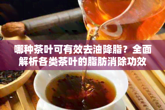 哪种茶叶可有效去油降脂？全面解析各类茶叶的脂肪消除功效与选择建议