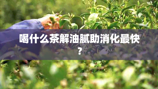 喝什么茶解油腻助消化最快？