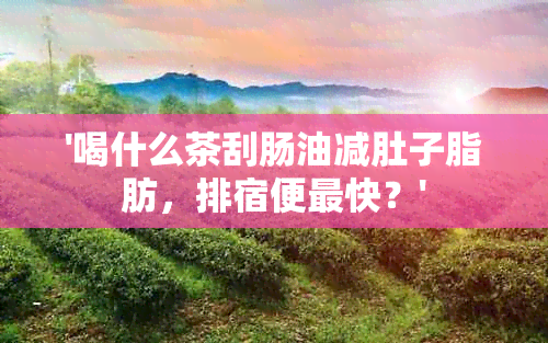 '喝什么茶刮肠油减肚子脂肪，排宿便最快？'