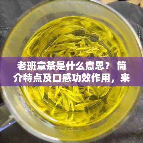 老班章茶是什么意思？ 简介特点及口感功效作用，来自哪个茶区？