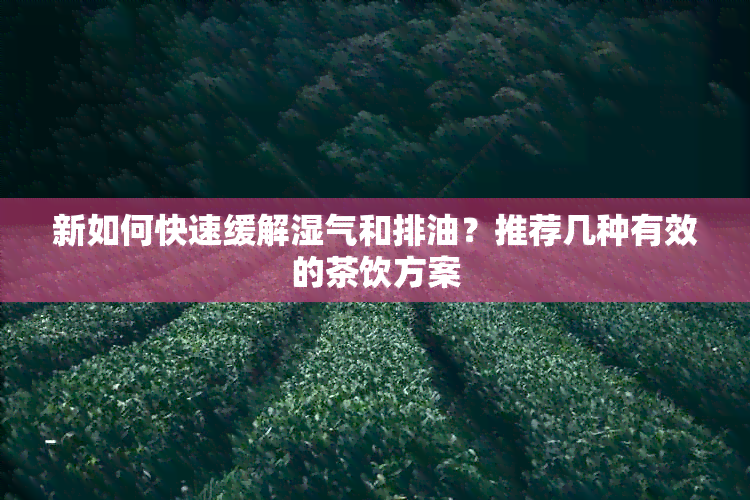 新如何快速缓解湿气和排油？推荐几种有效的茶饮方案