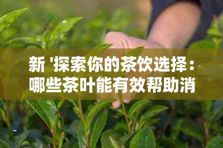 新 '探索你的茶饮选择：哪些茶叶能有效帮助消化和脂肪燃烧？'