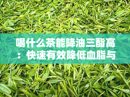 喝什么茶能降油三酯高：快速有效降低血脂与高血压的茶饮推荐