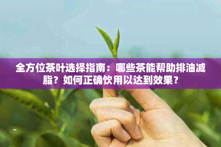 全方位茶叶选择指南：哪些茶能帮助排油减脂？如何正确饮用以达到效果？