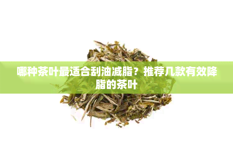 哪种茶叶最适合刮油减脂？推荐几款有效降脂的茶叶