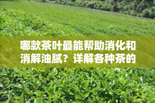 哪款茶叶最能帮助消化和消解油腻？详解各种茶的特点与功效