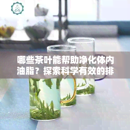 哪些茶叶能帮助净化体内油脂？探索科学有效的排油茶品