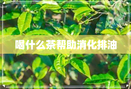 喝什么茶帮助消化排油