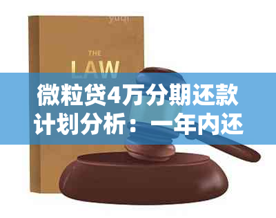 微粒贷4万分期还款计划分析：一年内还款总额如何计算？