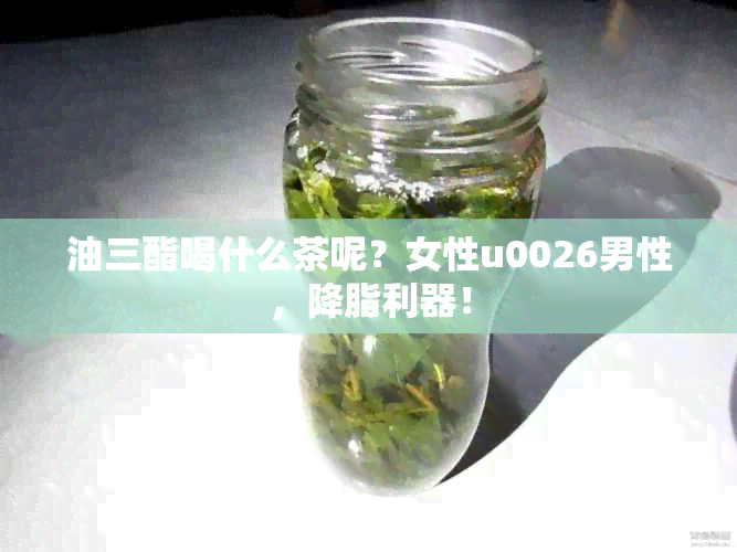 油三酯喝什么茶呢？女性u0026男性，降脂利器！