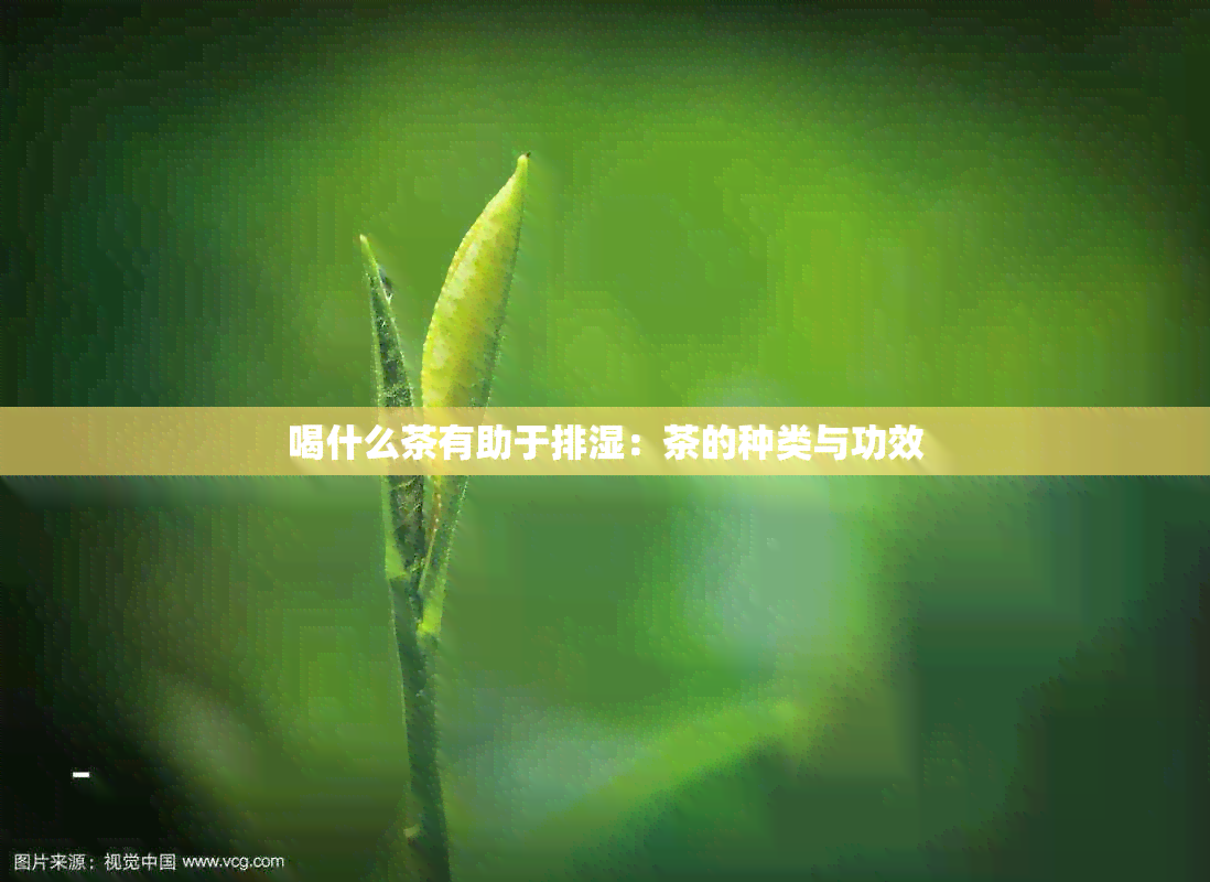 喝什么茶有助于排湿：茶的种类与功效