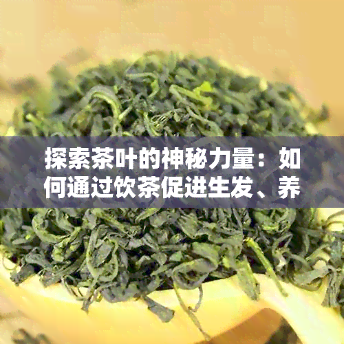 探索茶叶的神秘力量：如何通过饮茶促进生发、养发和黑发？