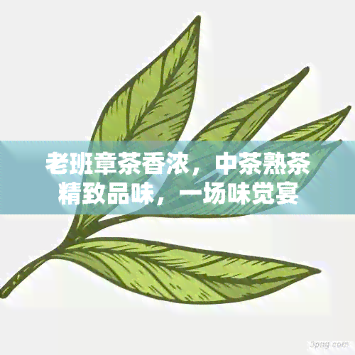 老班章茶香浓，中茶熟茶精致品味，一场味觉宴