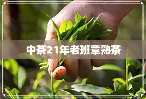 中茶21年老班章熟茶