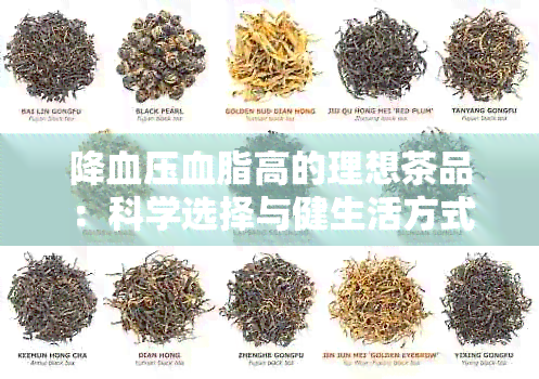 降血压血脂高的理想茶品：科学选择与健生活方式的结合