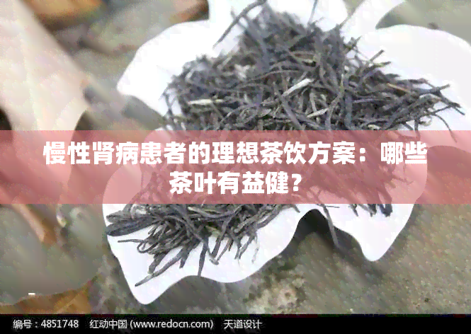 慢性肾病患者的理想茶饮方案：哪些茶叶有益健？