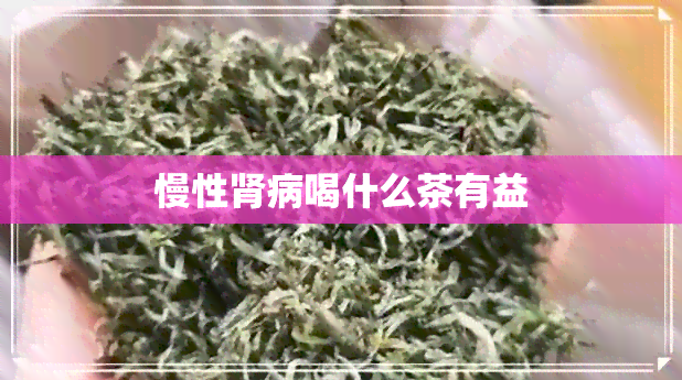 慢性肾病喝什么茶有益