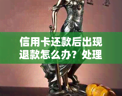 信用卡还款后出现退款怎么办？处理流程及注意事项全解析