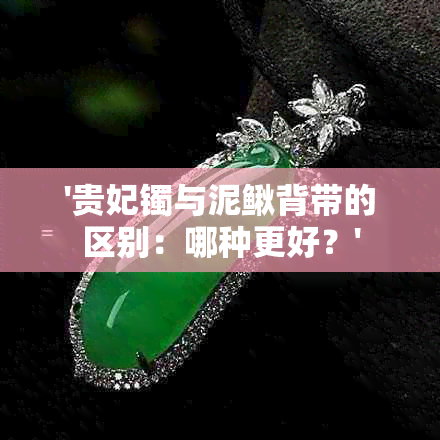 '贵妃镯与泥鳅背带的区别：哪种更好？'